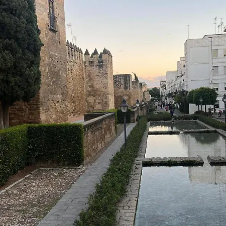 Apartmán Luxury Mezquita